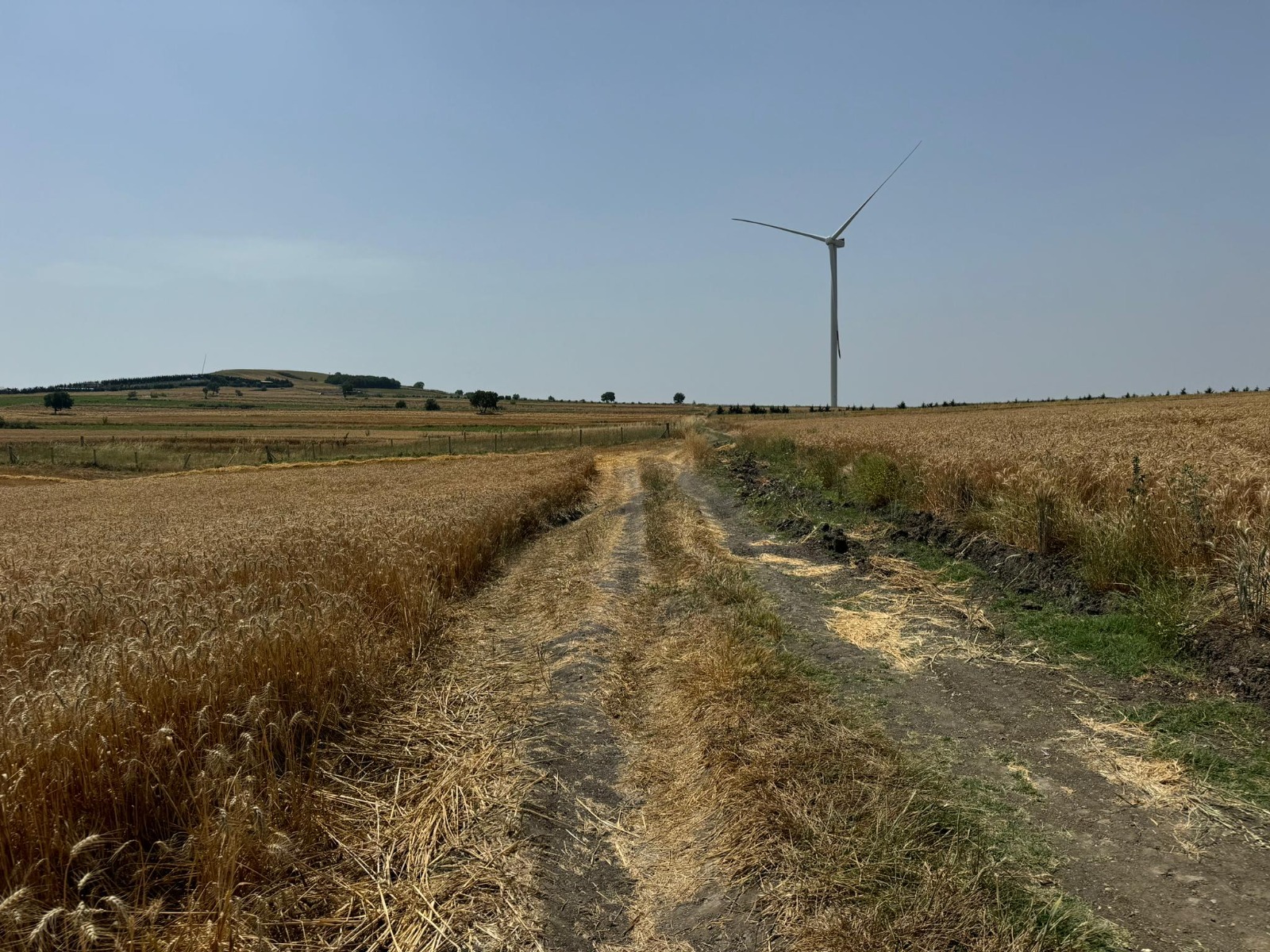 SİLİVRİ BÜYÜKKILIÇLIDA 5300 M2 TARLA
