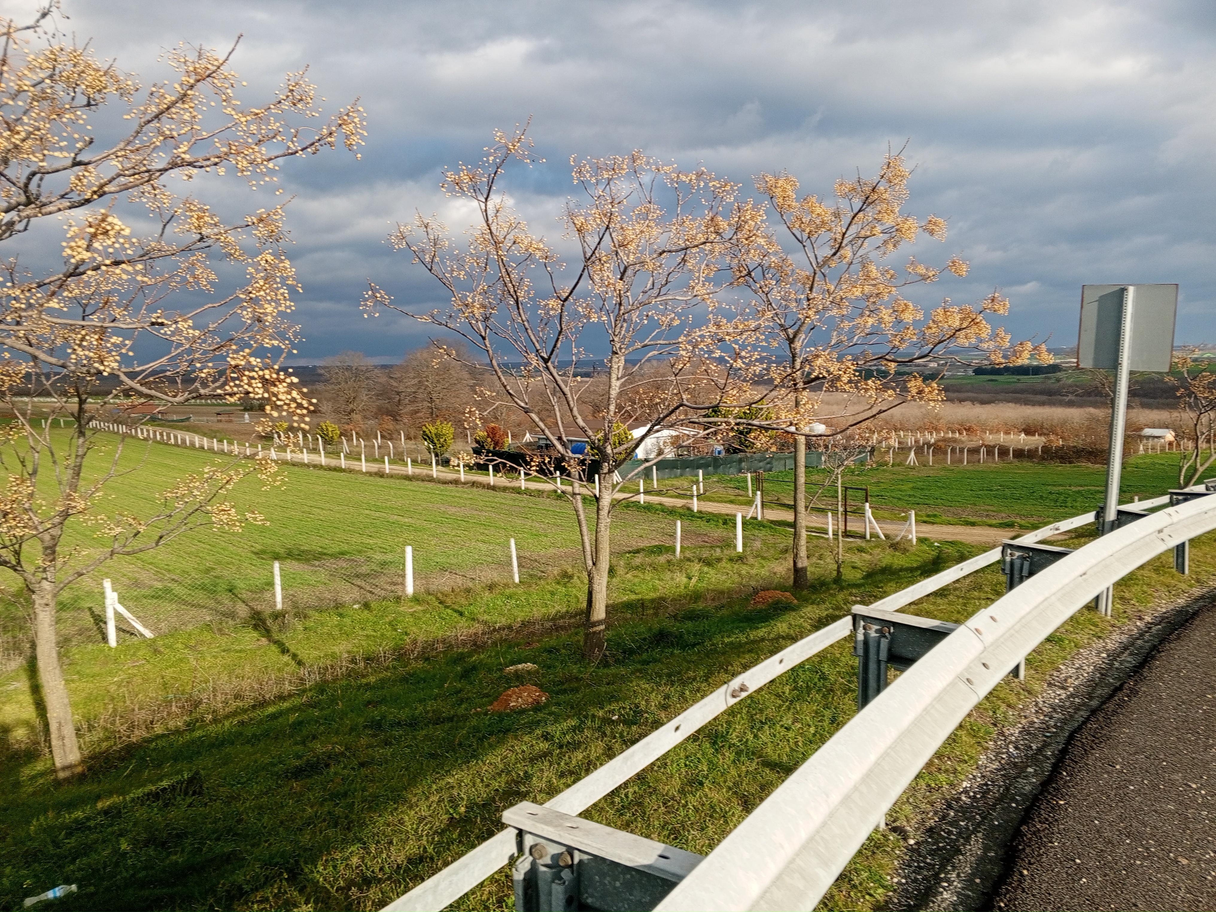 Silivri buyukcavuslu 12500